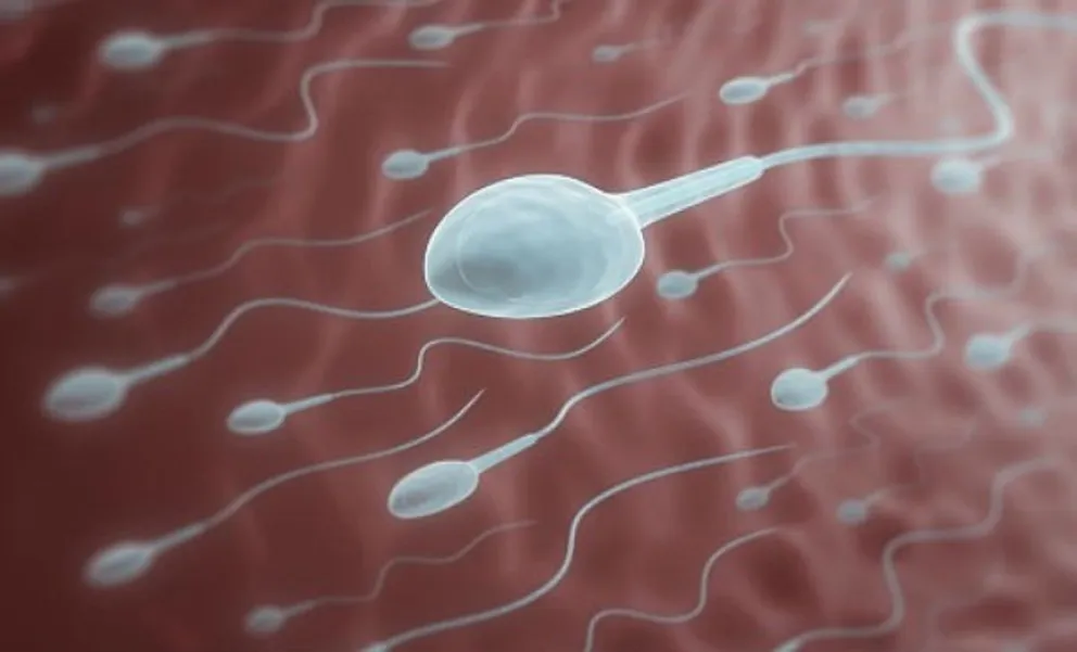 Investigadores afirman que analizar el semen ayuda al pronóstico de la agresividad de cáncer de próstata