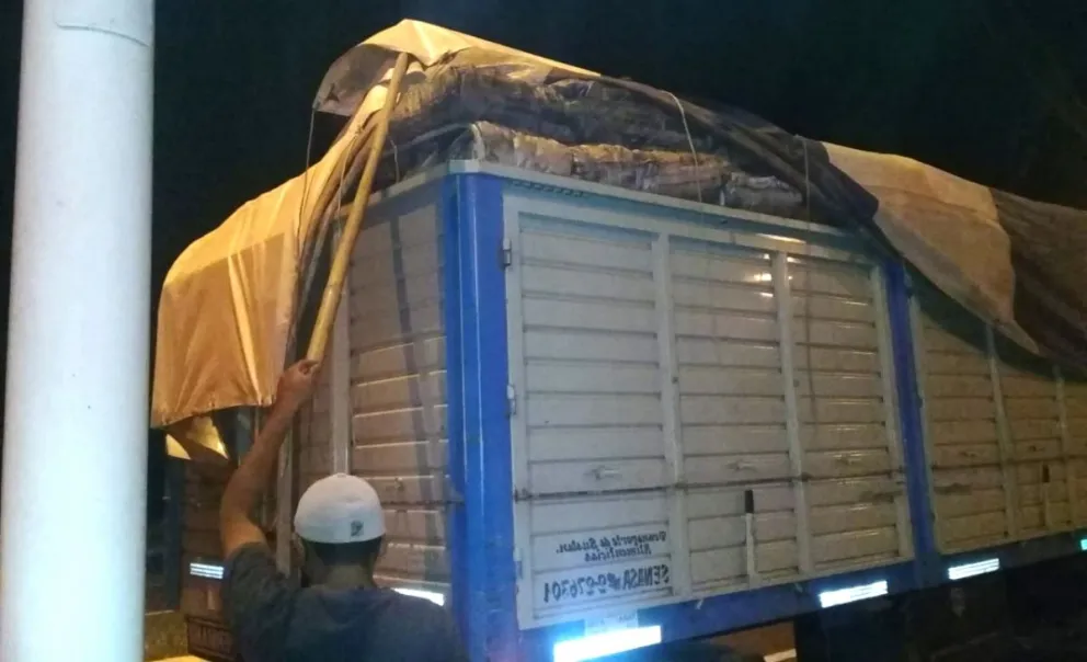 Golpe al contrabando en Salta: incautan vacas y 20.000 kilos de una materia sin documentación 
