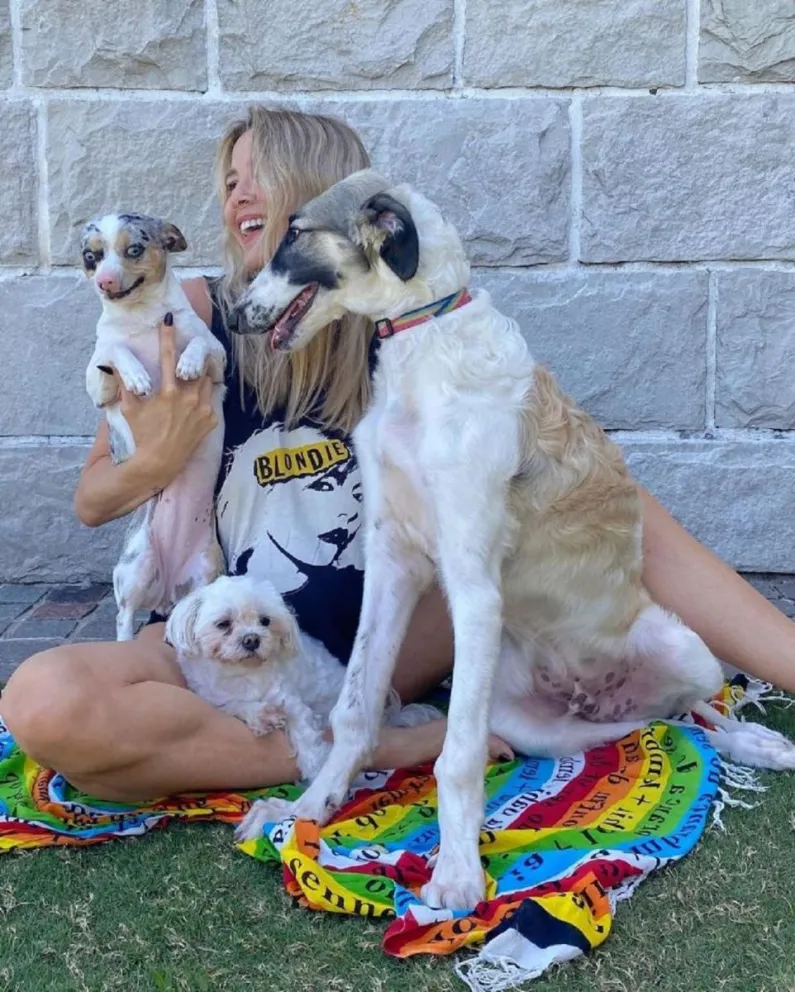 Perros: pueden contagiar una bacteria mortal a los seres humanos 