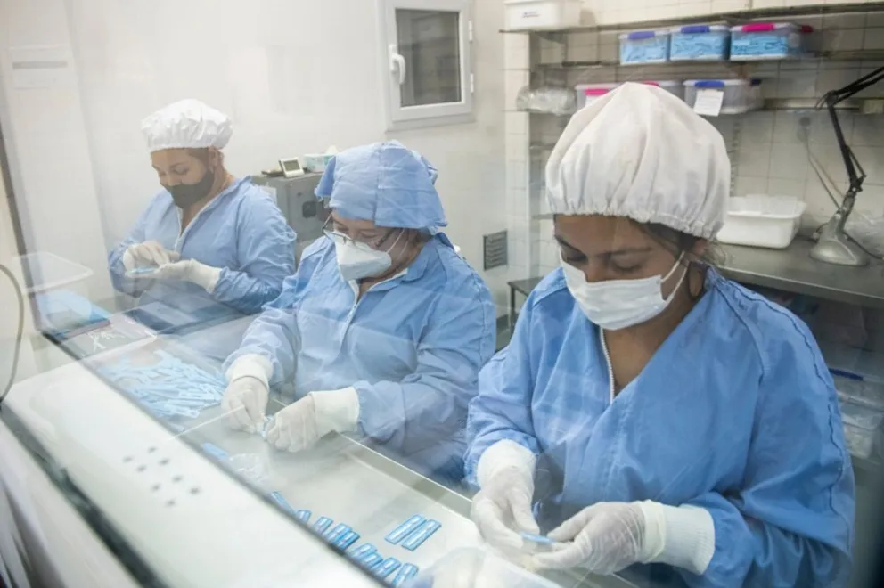 Coronavirus en Argentina: se registraron 7.578 nuevos contagios y 208 muertes en el último día 