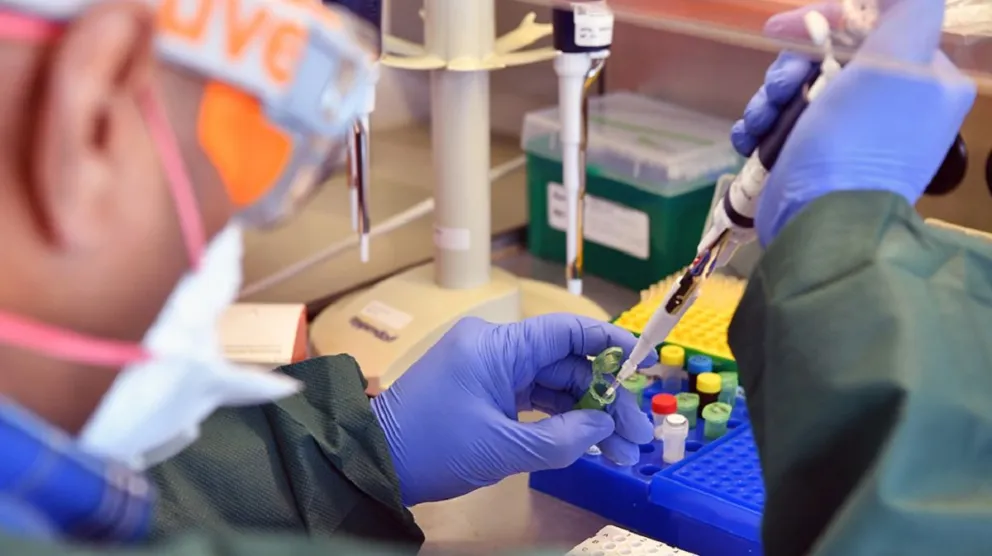 Coronavirus: Salta registró 51 nuevos casos y dos muertes en las últimas 24 horas