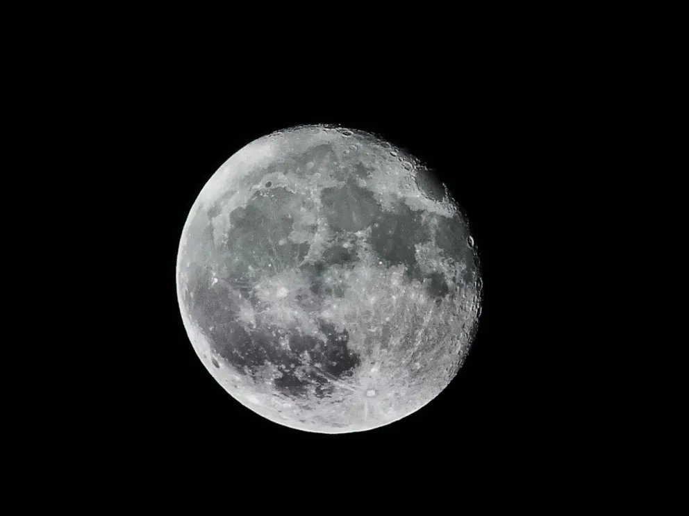 Luna de Lobo, conoce todo acerca de este fenómeno ¿dónde y cuándo se verá?