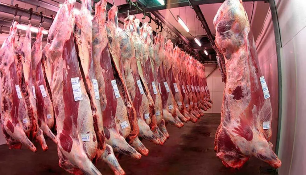 Para evitar la subfacturación el Gobierno fijó el precio de la carne