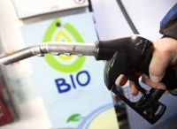 Biocombustibles en Salta: le piden a Alberto Fernández que preserve 70 mil puestos de trabajo