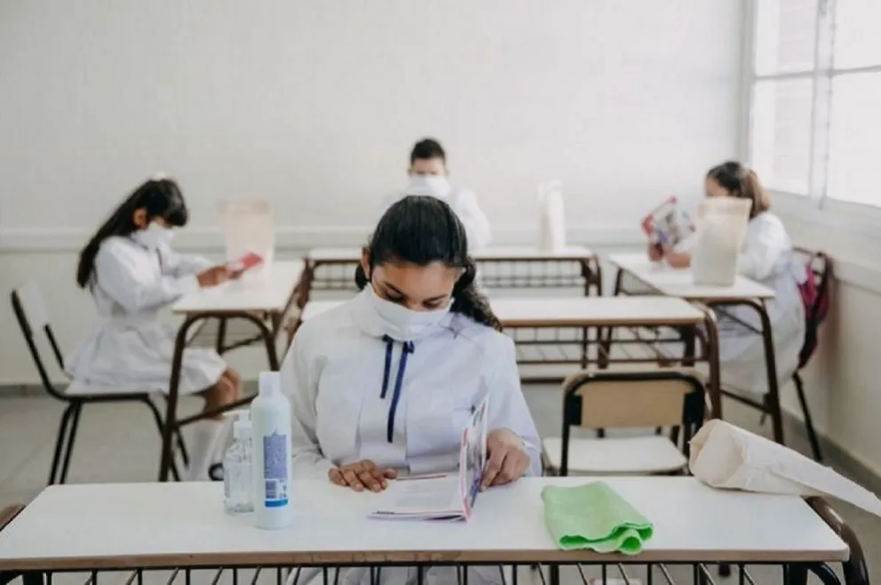 Vuelta a clases: en medio de la crisis por la pandemia, un Ministro recomendó a las escuelas comprar un costoso equipamiento