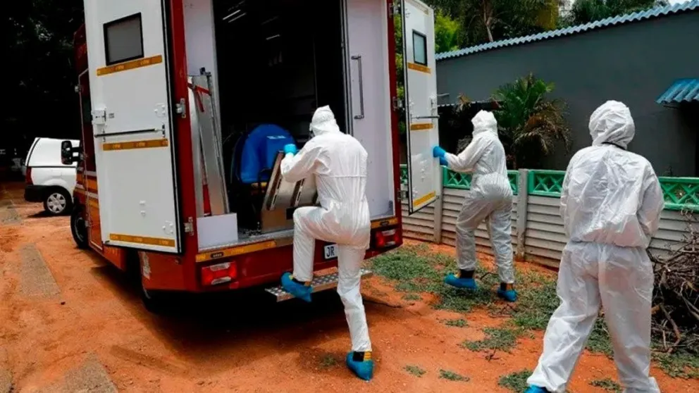 Preocupación por un virus que ataca a las personas y los hace vomitar sangre
