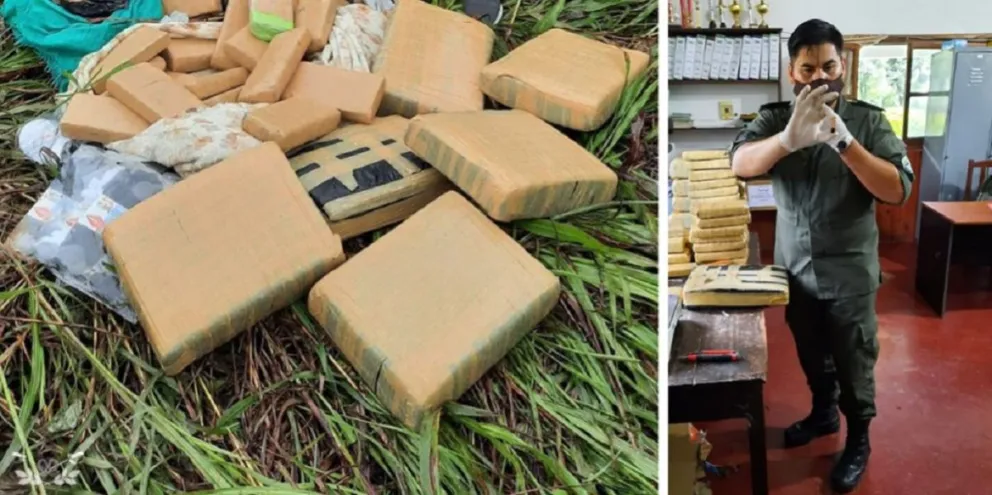Orán: descubren 43 kilos de marihuana "camuflados" entre la maleza de un campo