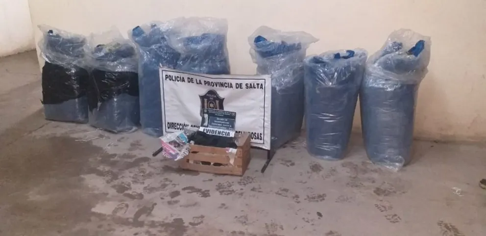 La policía incautó 150 kilos de hojas de coca valuadas en 800 mil pesos