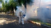Confirman un nuevo caso de Dengue en Salta: quién es y dónde está ubicado