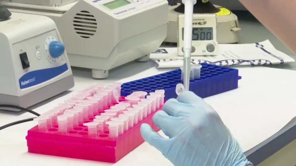 Coronavirus en Salta: reportaron 84 nuevos casos en la provincia