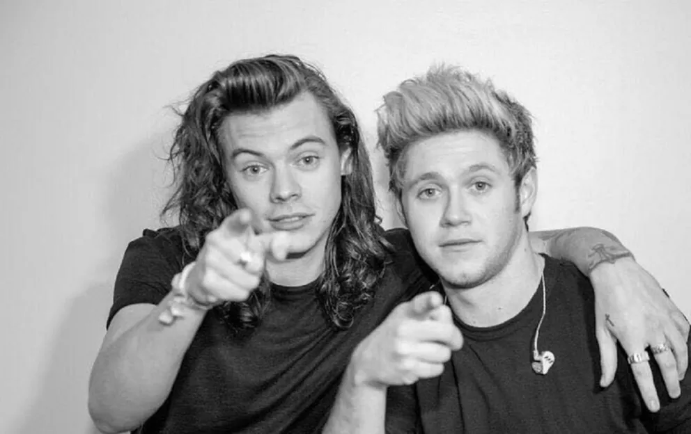 Harry Styles y Niall Horan. Fuente (Instagram)