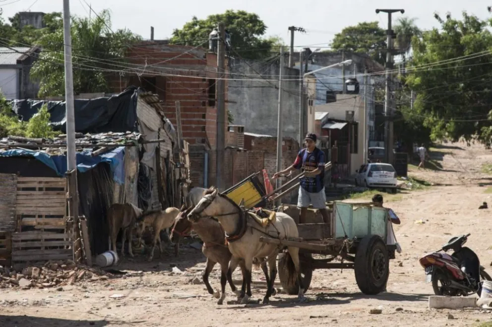 Aumentó 4,6% la Canasta Básica Alimentaria en el mes de enero 