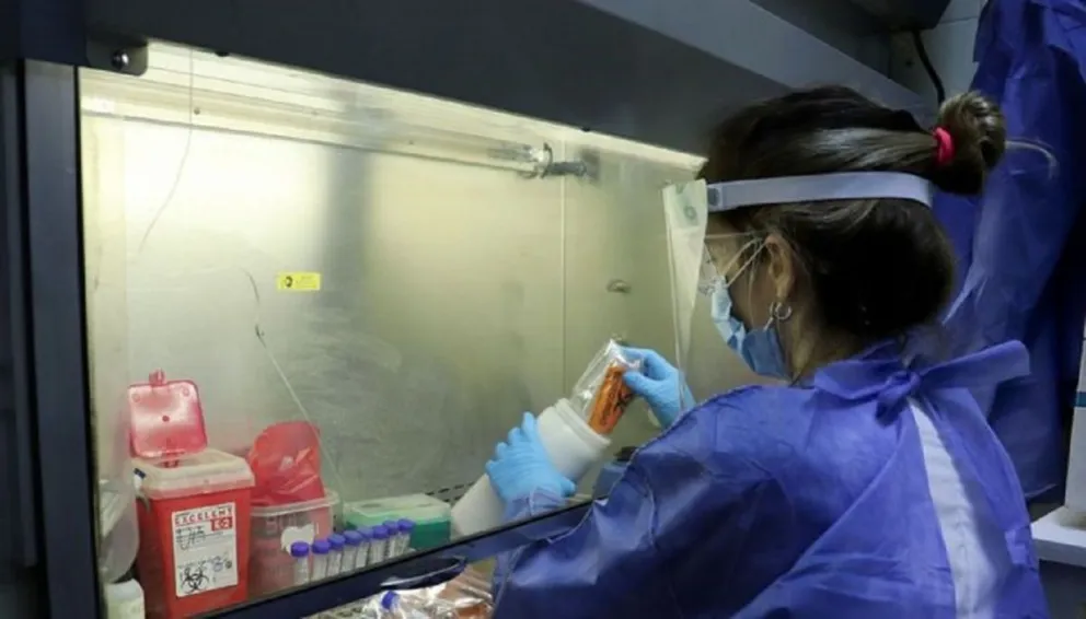 Coronavirus en Salta: la provincia sumó 119 casos