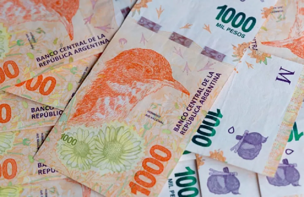 Importante: el Anses repartirá asignaciones familiares de hasta $39.600 