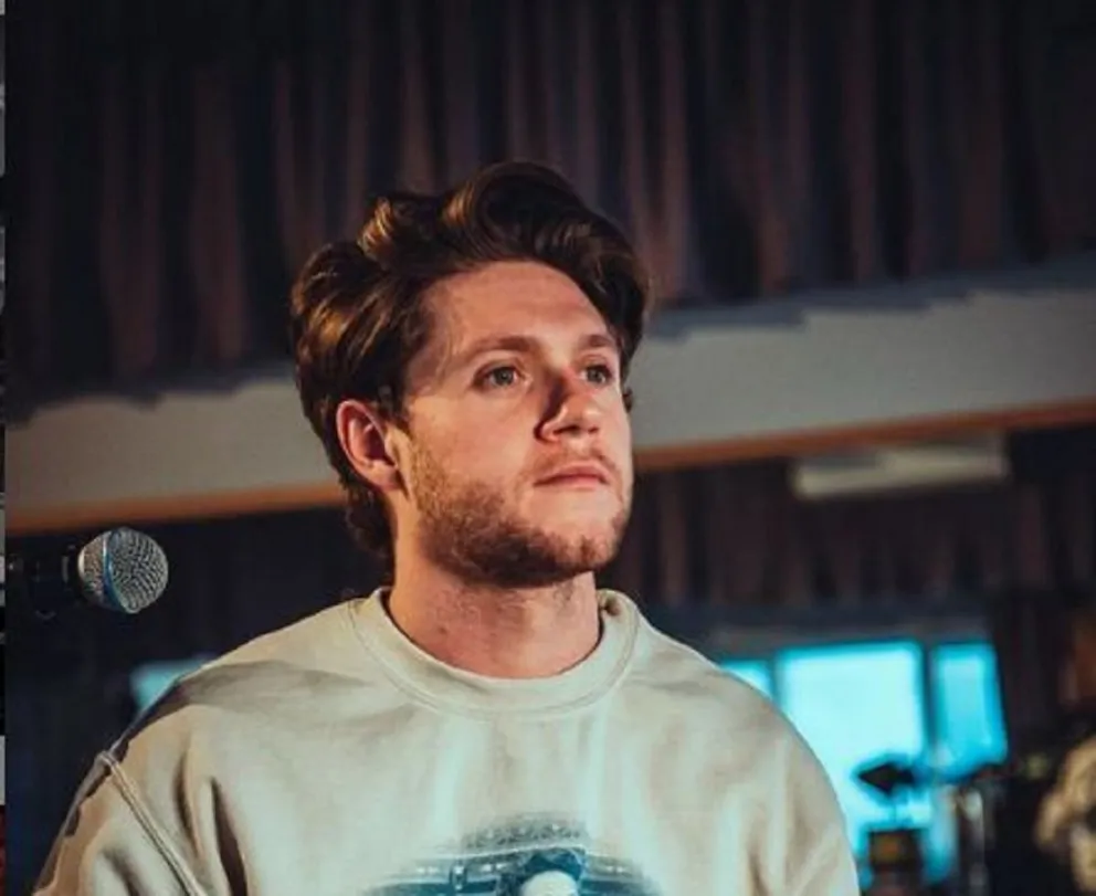 Niall Horan reapareció en sus redes con un curioso posteo y causó furor 