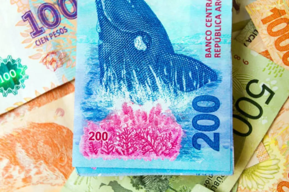 Banco Ciudad lanzó créditos de hasta $700.000 para estudiantes universitarios con mínimos requisitos ¿cómo solicitarlos?