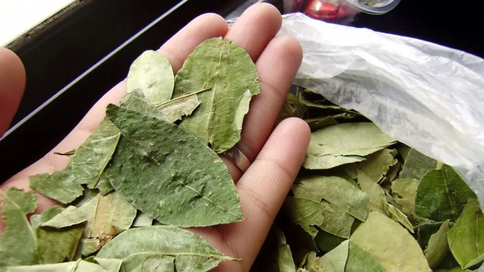 Llevaban una carga de hojas de coca valuada en más de dos millones de pesos