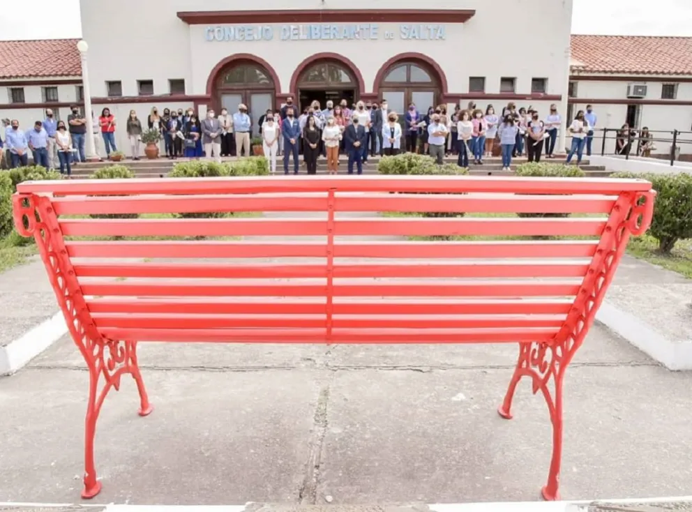 En memoria de las víctimas de femicidios en Salta: la propuesta de los concejales