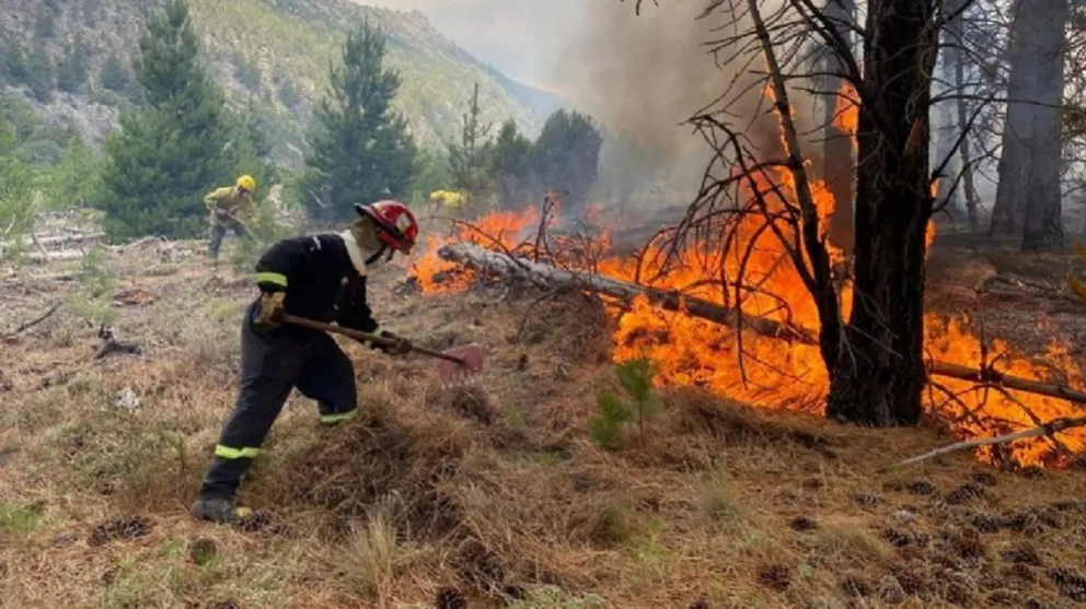 “De Salta al Sur”: en la provincia se inició una colecta para ayudar a los damnificados por los incendios