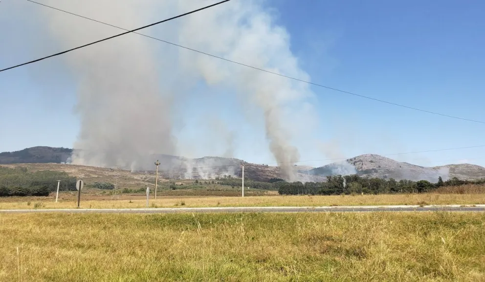 Voraz incendio en la sierra de Tandil preocupa a todos: bomberos aseguran que "no controlan" las llamas
