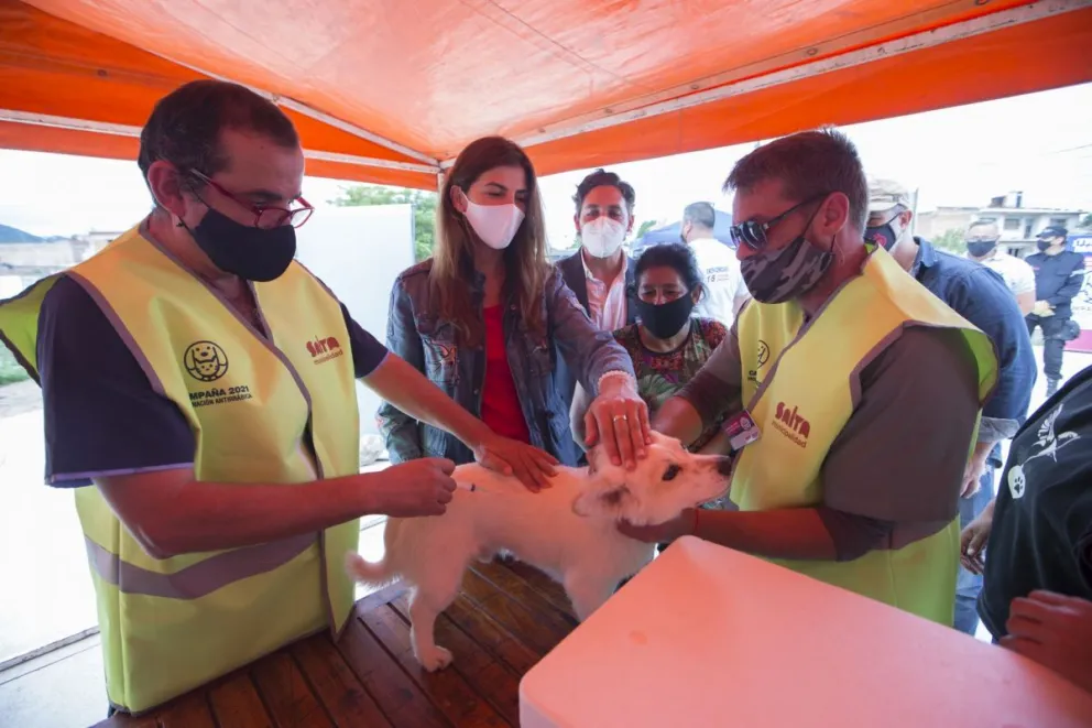 El Gobierno de la Ciudad lleva adelante una campaña histórica de vacunación antirrábica