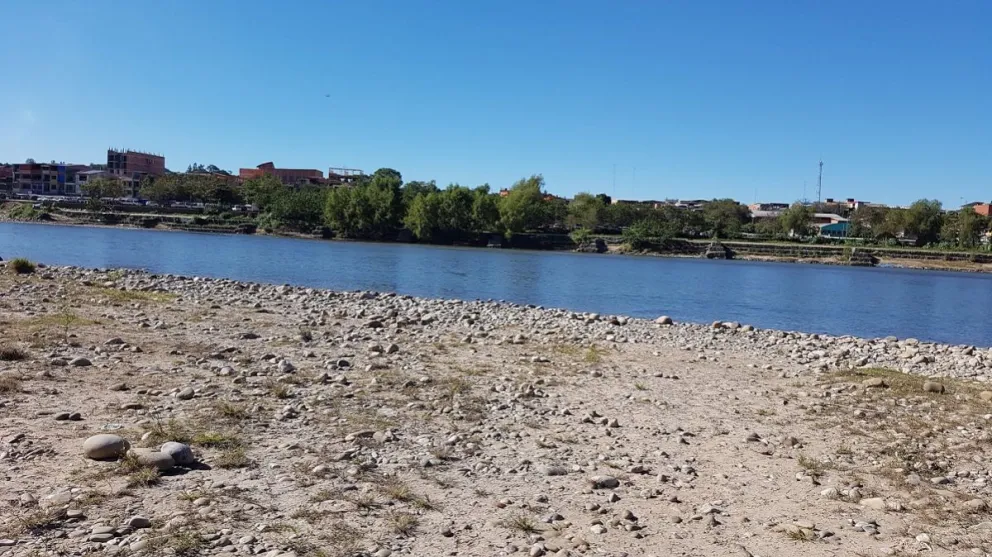 Desde Bolivia aseguran que en Salta circula la cepa de Manaos
