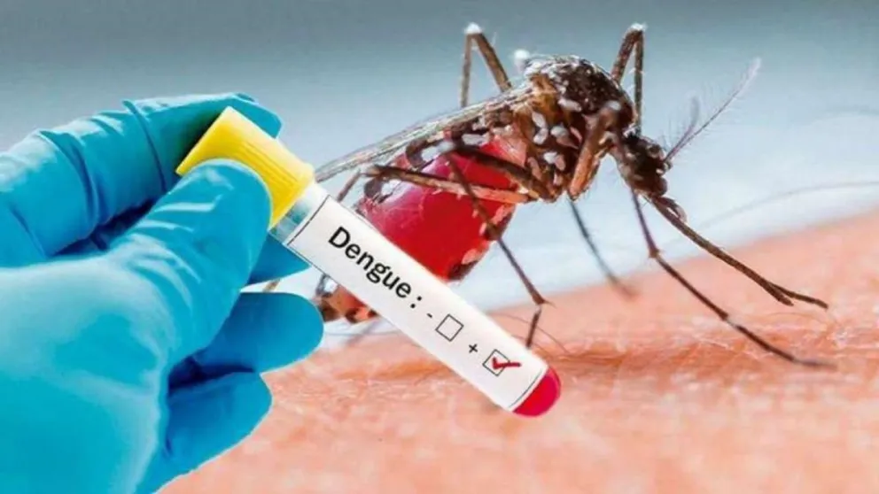 Alerta dengue en Salta: se confirmaron más casos en toda la provincia