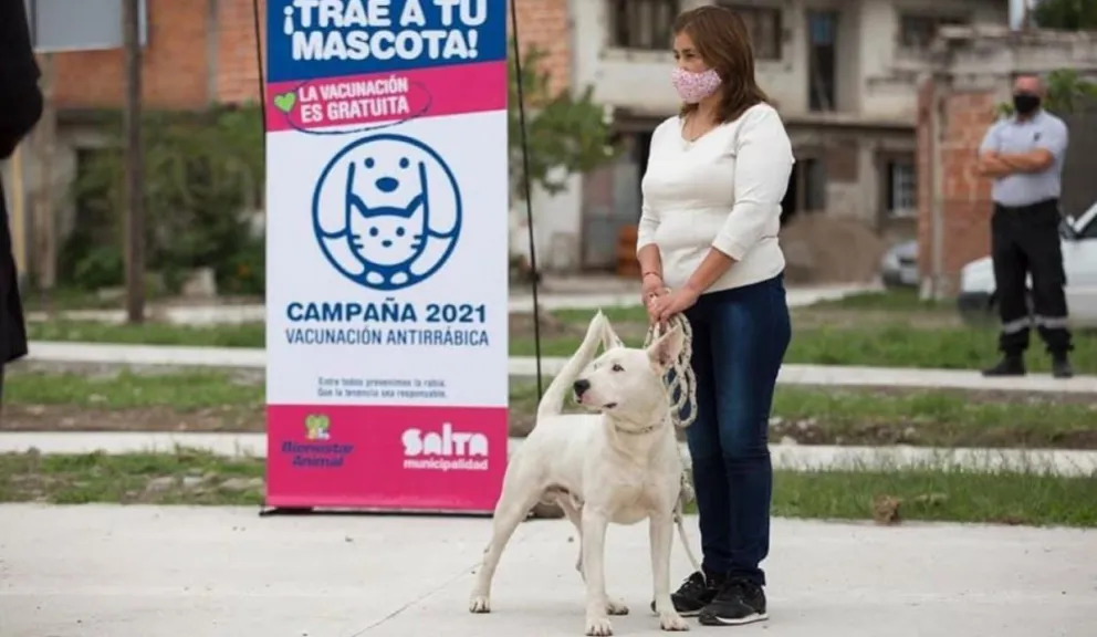 Campañas de tenencia responsable. Fuente: (Twitter)
