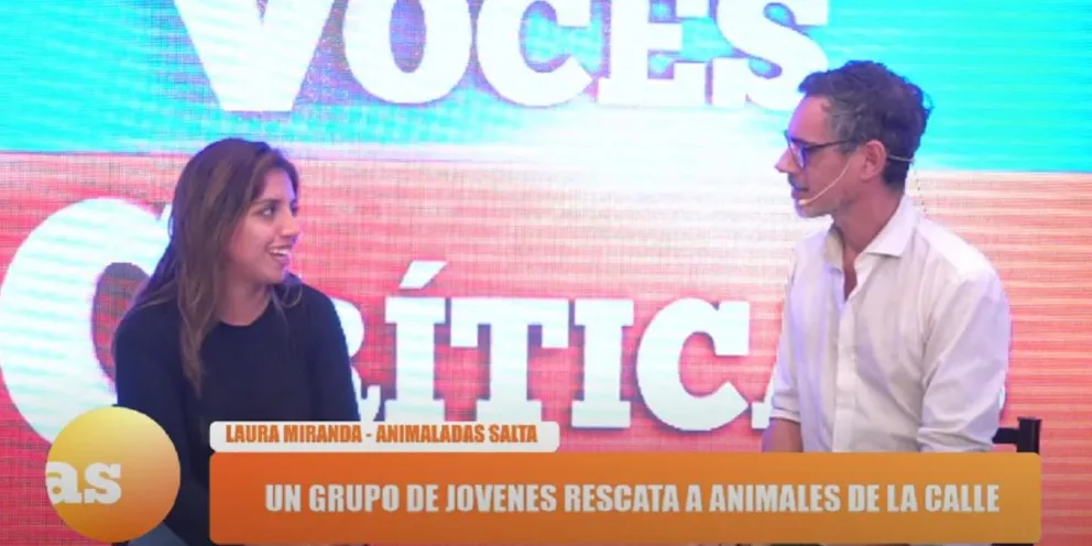 Proteccionistas denuncian el accionar de muchos salteños: "La gente es cómoda y se dedica a abandonar perros"