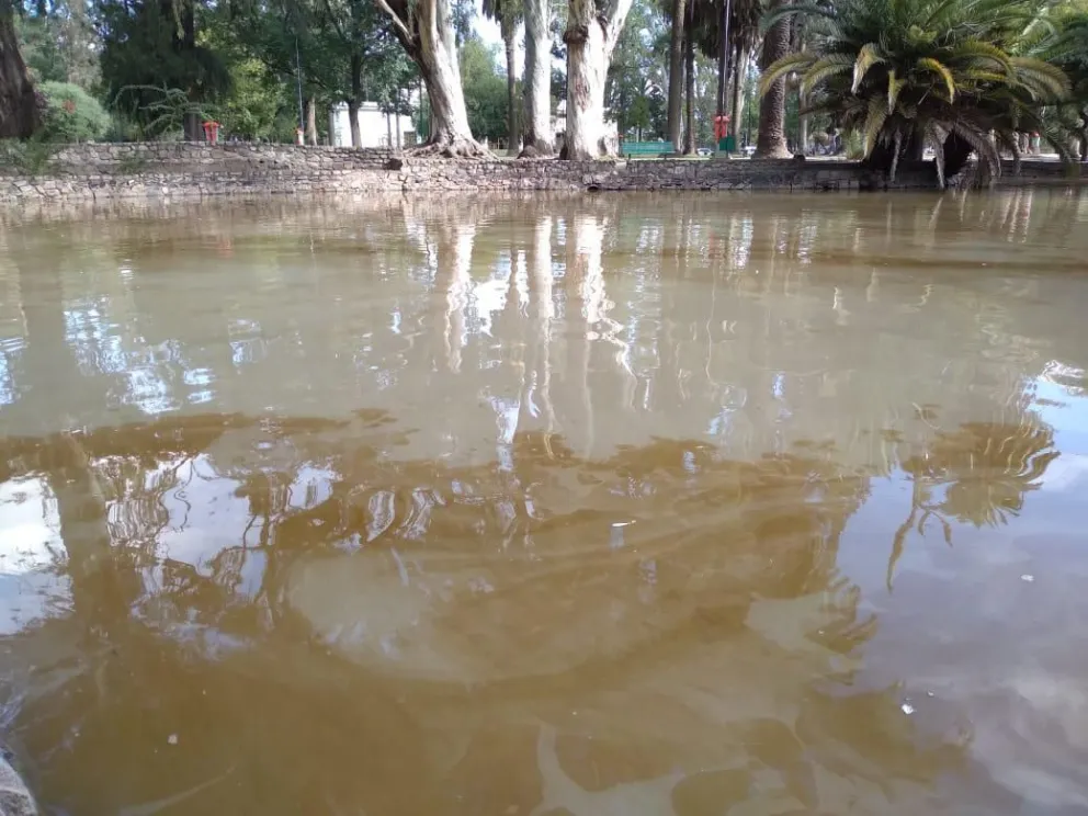 |TERRIBLES FOTOS| El deplorable estado del lago del Parque San Martín: Concejales piden una inspección