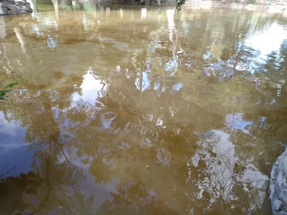 Una enorme y nauseabunda mancha color bilis se apodera del lago del Parque San Martín: ¿Qué es?