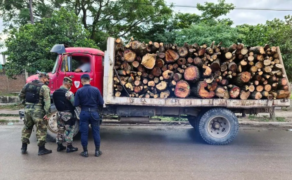 Transportaba productos forestales sin documentación y fue sancionado 