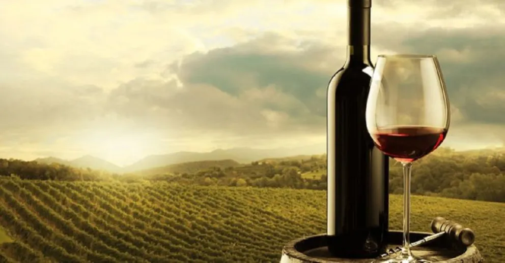 Día del Malbec. Fuente (Twitter)