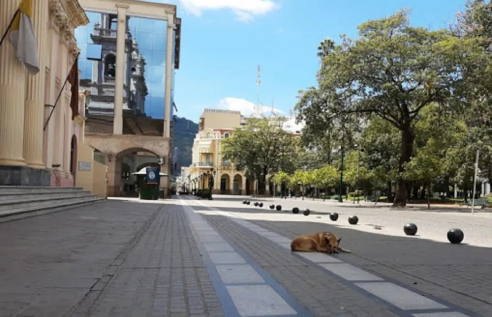 Dado el aumento de casos de coronavirus en las últimas semanas, ¿ya circulan las nuevas cepas en Salta?