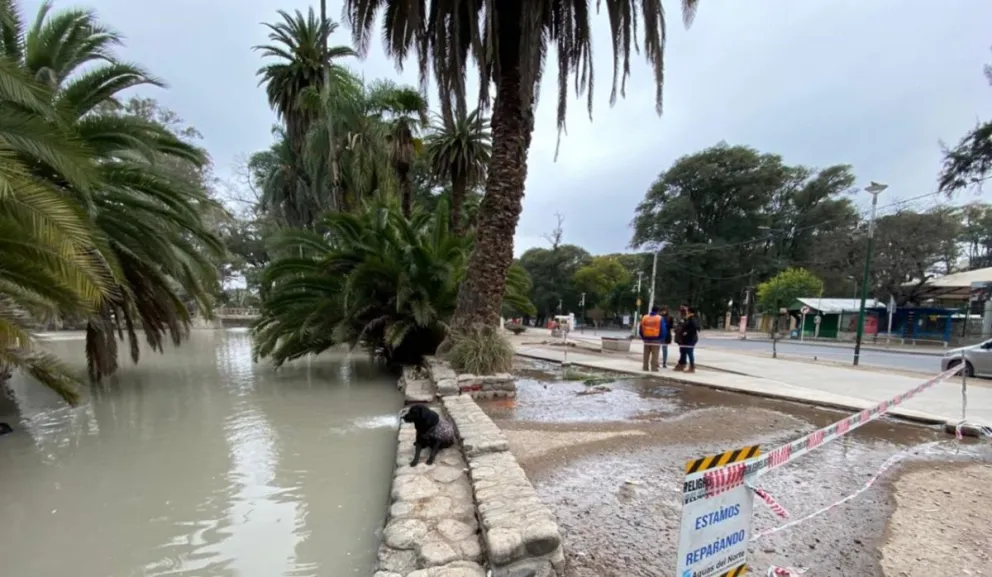 Lago del Parque San Martín. Fuente: (Twitter)