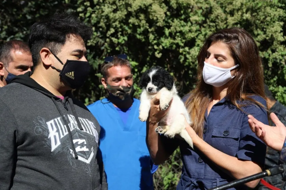 Día del Animal, un recorrido por el centro de adopción más importante de la ciudad