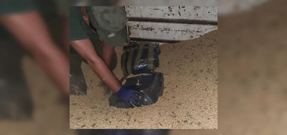 Se creen pícaros: salteños escondieron media tonelada de coca en un camión con soja y todo salió mal
