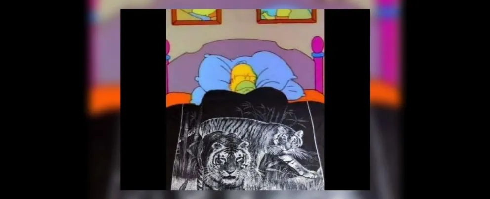 Insólita postal en el interior salteño: por las bajas temperaturas, un alumnito llevó una manta de tigre al aula