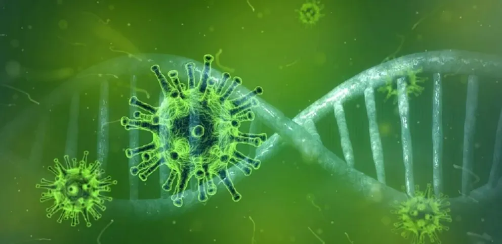 Ya fueron detectadas siete cepas de coronavirus en la Argentina