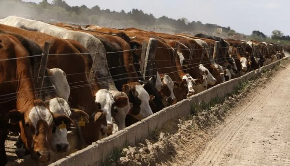 El sector agrario de Salta se sumó al paro nacional convocado por el campo 