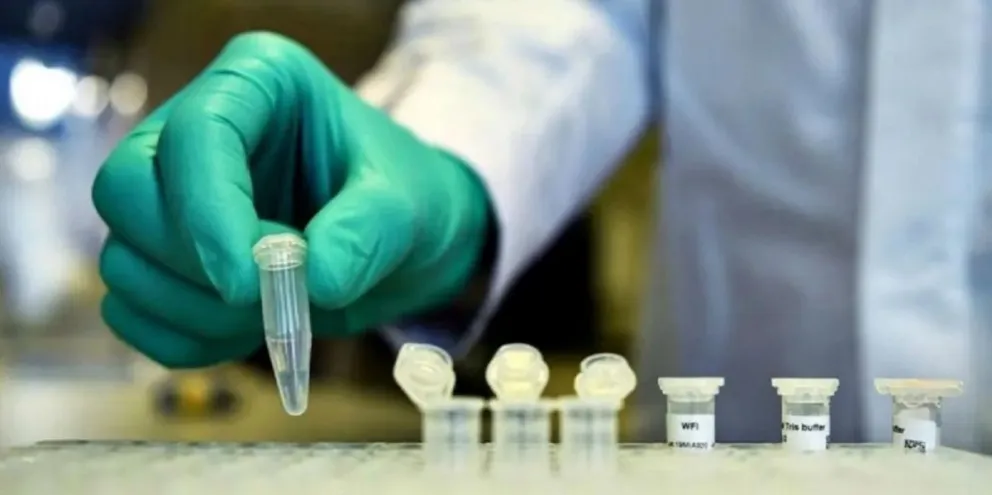 Coronavirus: confirman un caso de la variante de Manaos en el norte provincial