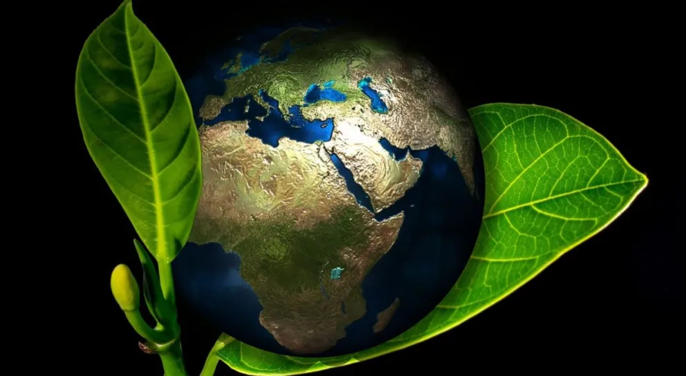 Día Mundial del Medio Ambiente Fuente:(Instagram)