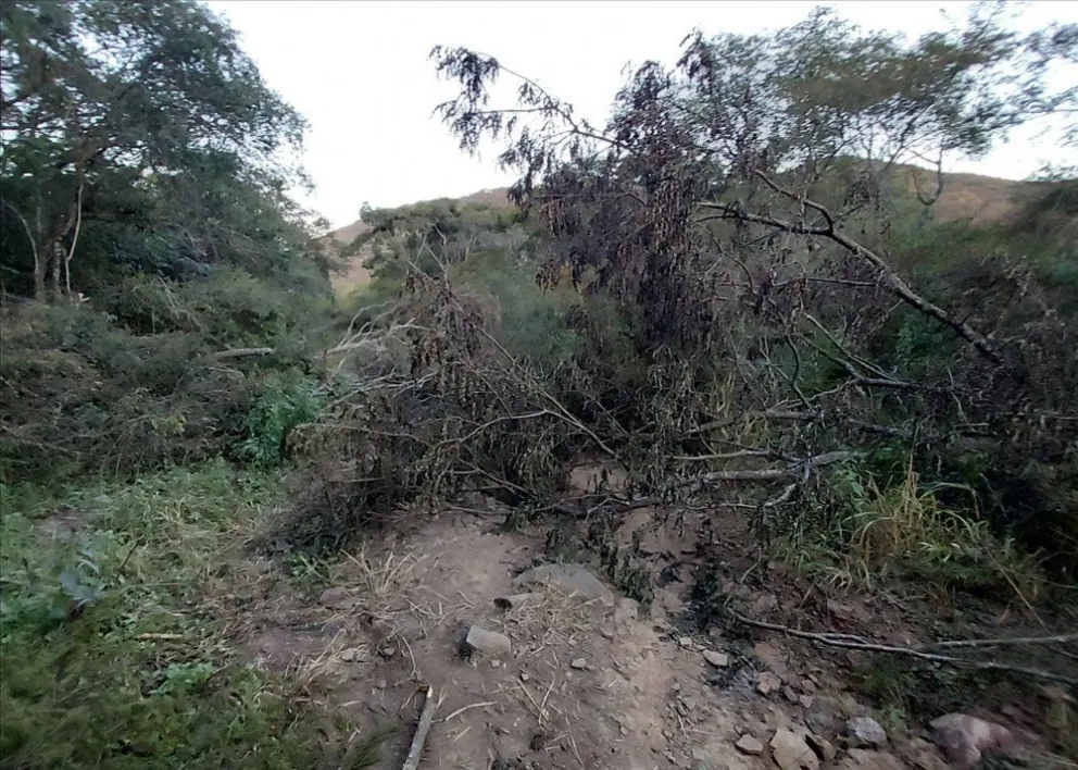 Grave denuncia en los cerros de Salta