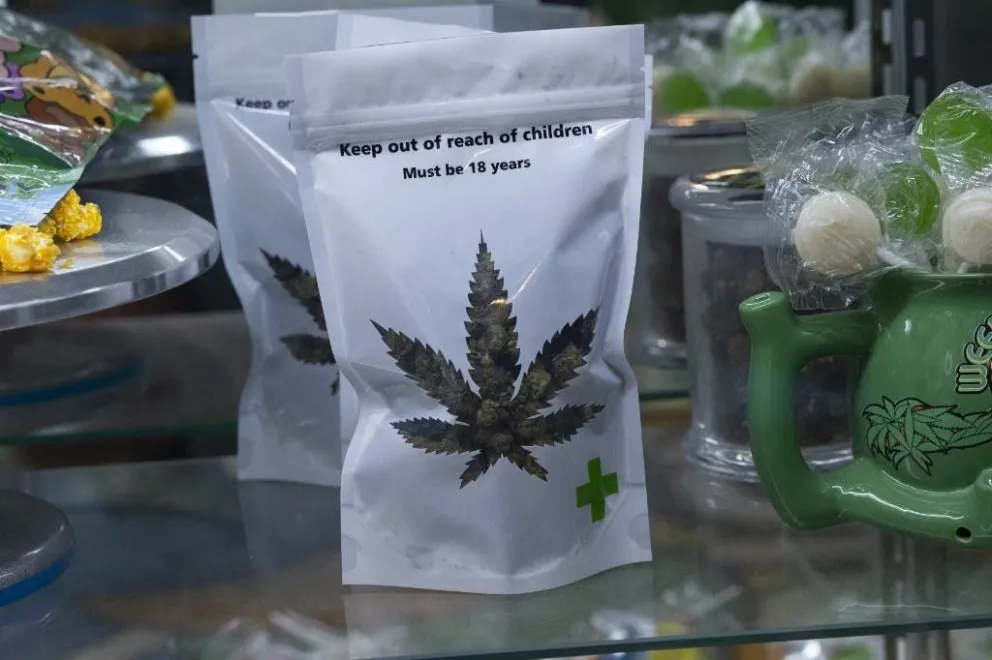 Atención: ofrecen marihuana gratis a quienes se vacunen contra el COVID-19