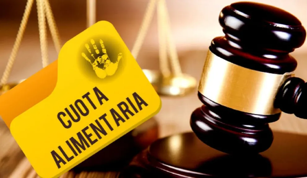 Ley Deudores Alimentarios: “Se meten con el plato de comida de nuestros hijos”