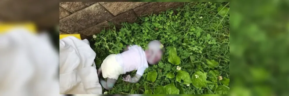 Macabro hallazgo en Aguas del Norte: encuentran un bebito muerto en la planta depuradora