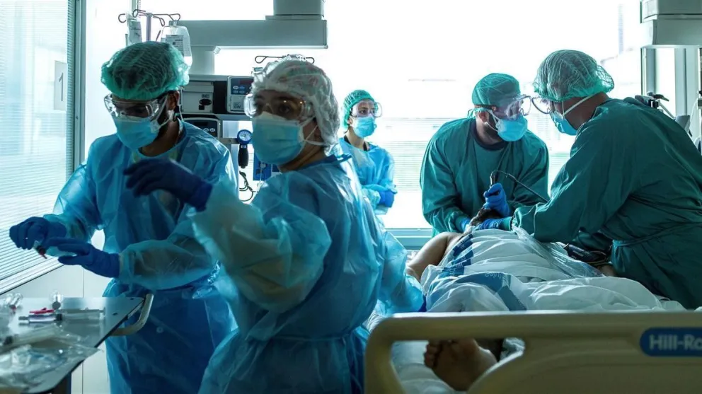 Se descubrió un espécimen animal que puede transmitir un peligroso y mortal virus: imágenes aterradoras