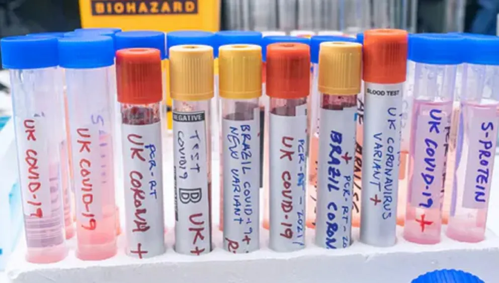Una por una, estas son las variantes del coronavirus identificadas en la provincia
