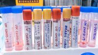 Detectaron 33 nuevos casos de variantes de coronavirus en Salta
