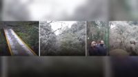 |HAY VIDEO| Comienzo de semana con mucha nieve en la quebrada de San Lorenzo